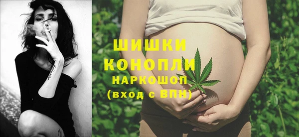 хмурый Абаза