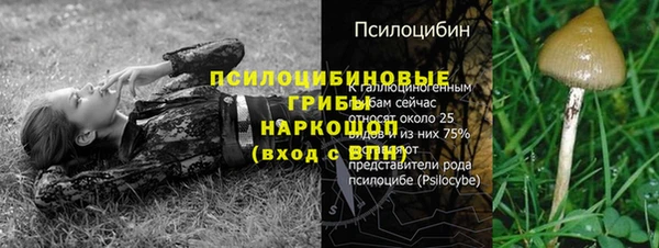 mdpv Мегион