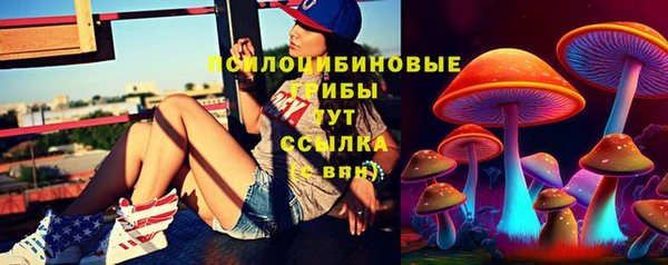 mdpv Медногорск