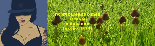 ПСИЛОЦИБИНОВЫЕ ГРИБЫ Абдулино